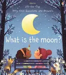 What is the Moon? - Katie Daynes, Marta Alvarez Miguens (ilustrácie) - kniha z kategorie Pro děti