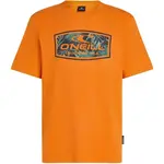 O'Neill GRAPHIC Pánské tričko, oranžová, velikost
