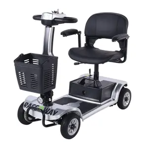 Racceway Elektrický čtyřkolový vozík SPLIT, stříbrný