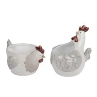 Obal na rostliny slepice