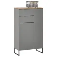 Venda MIDI SKŘÍŇKA, šedá, barvy dubu, 60/106/32 cm