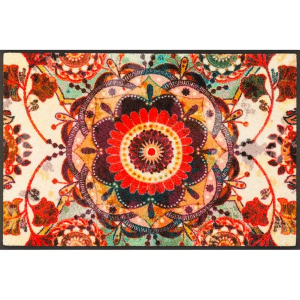 DVEŘNÍ ROHOŽKA, 50/75 cm, vícebarevná