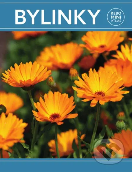 Bylinky (miniatlas) - kniha z kategorie Biologie
