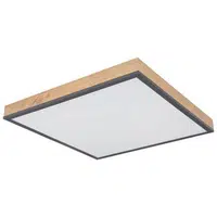 Globo STROPNÍ LED SVÍTIDLO, 45/45/6,5 cm
