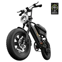 URLIFE T16 Electric Bike 250W 48V 13Ah