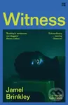 Witness - Jamel Brinkley - kniha z kategorie Společenská beletrie
