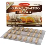 Terezia Company Houbové Quarteto s reishi 60 kapslí