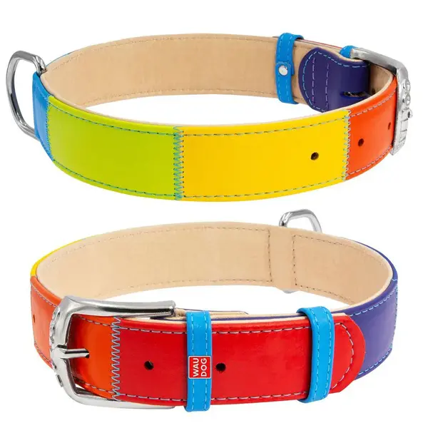 Plochý kožený obojok dúha, Obvod krku: 46-60 cm, širka: 35 mm