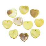 Natural Freshwater Shell Charms