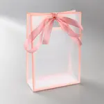 Rectangle Plastic Packaging Gift Bags with Hole Handle and Silk Ribbon
