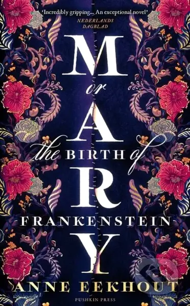 Mary Or The Birth Of Frankenstein (or, the Birth of Frankenstein) - kniha z kategorie Společenská beletrie