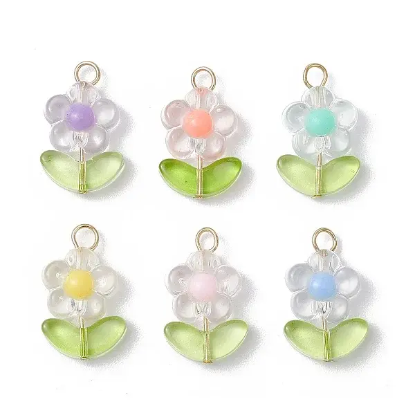 Transparent Acrylic Pendants