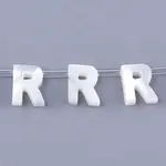 Natural Sea Shell Beads