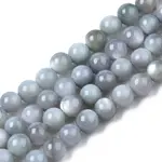 Natural Freshwater Shell Beads Strands