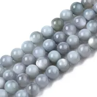 Natural Freshwater Shell Beads Strands