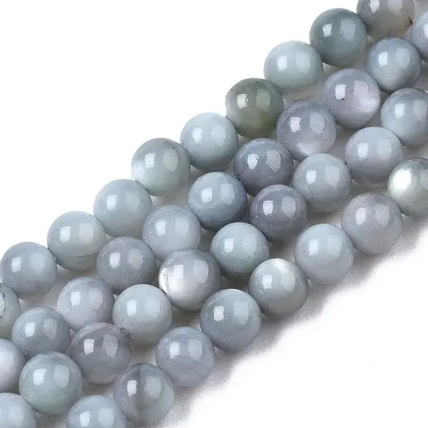 Natural Freshwater Shell Beads Strands