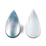Natural Turbo Cornulus/Top Shells Cabochons