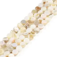 Natural Freshwater Shell  Beads Strands