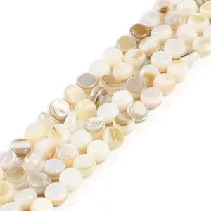 Natural Freshwater Shell  Beads Strands