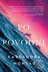 Po povodni - Kassandra Montag - kniha z kategorie Sci-fi