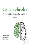 Co je pokrok (O potřebě celostního myšlení. Novoelejská psychologie ekonomiky) - kniha z kategorie Beletrie