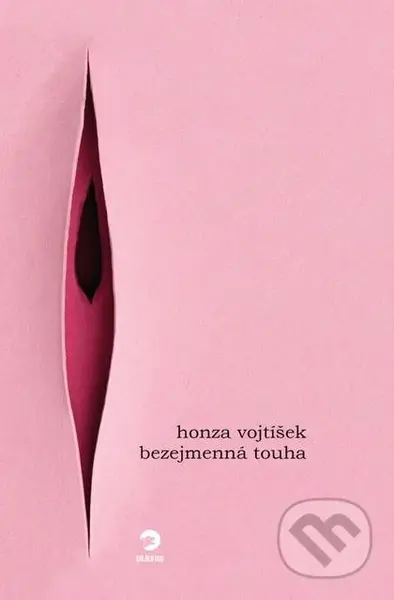 Bezejmenná touha - Honza Vojtíšek - kniha z kategorie Společenská beletrie