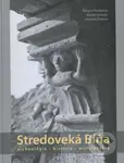 Stredoveká Bíňa (Archeológia-história-architektúra) - kniha z kategorie Historie