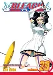 Bleach 29 - Tite Kubo