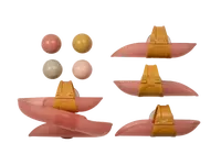 LITTLE DUTCH Dráha guličková do vane Pink 10m+