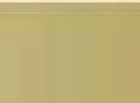 Pastel Caran d'Ache Neocolor I 035 Ochre