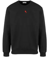 Pri Men's warm sweatshirt with ozodbone embroidery