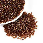 8/0 Glass Seed Beads