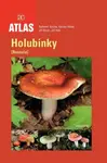 Holubinky - Radomír Socha, Jiří Baier, Václav Hálek