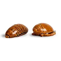 Soľnička a korenička Byon Bug