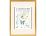 Fotorámik Giulia 21x29,7 cm, zlatý%