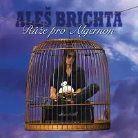 Aleš Brichta – Růže pro Algernon (Remastered 2026)