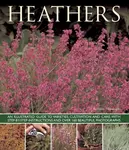 Heathers - Andrew Mikolajski