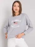 Sweatshirt-RV-BL-6670.14-gray