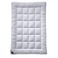 Billerbeck ZIMNÍ PŘIKRÝVKA, 135/200 cm, polyester