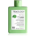 Teaology Matcha Tea Repair Shampoo šampon pro posílení vlasů 250 ml