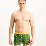 Pánské boxerky Frogies Zodiac Blíženci