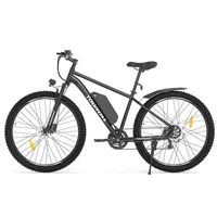 Touroll U2 Electric Bike 250W 48V 15Ah