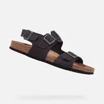 Black men's sandals Geox Ghita - Men's