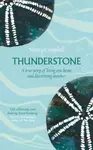 Thunderstone (poškozená) - Nancy Campbell