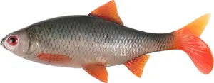 Fox rage gumová nástraha ultra natural roach bulk - 18 cm