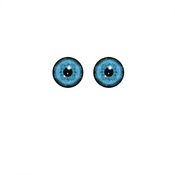 Plastic Dinosaur Safety Craft Eye