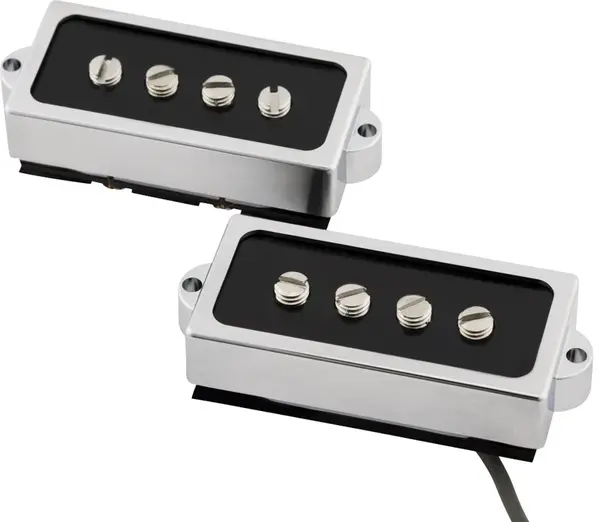 Fender Cobalt Chrome Precision Bass Set