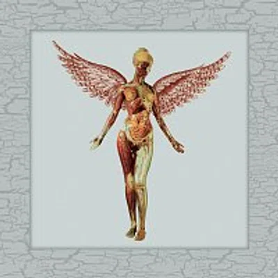 Nirvana – In Utero [30th Anniversary Super Deluxe] CD