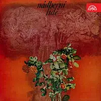 Různí interpreti – Nádherní lidé