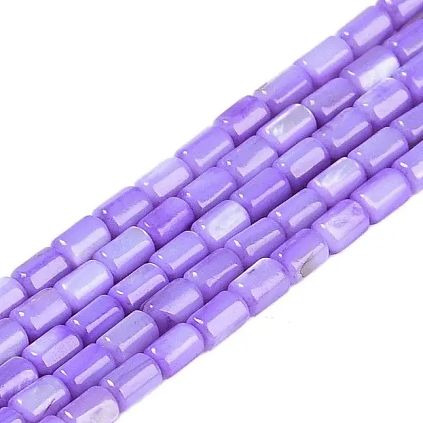 Natural Freshwater Shell Beads Strands